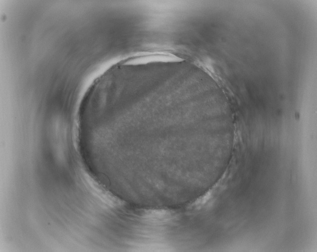 X0000088140342200705291403
