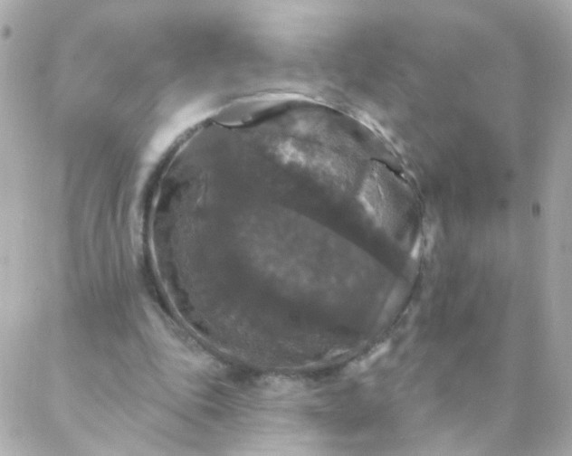 X0000088140343200705291403