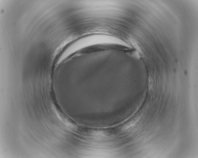 X0000088140349200705291403