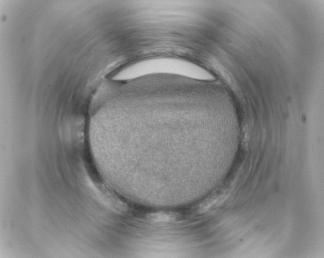 X0000088140356200705291403
