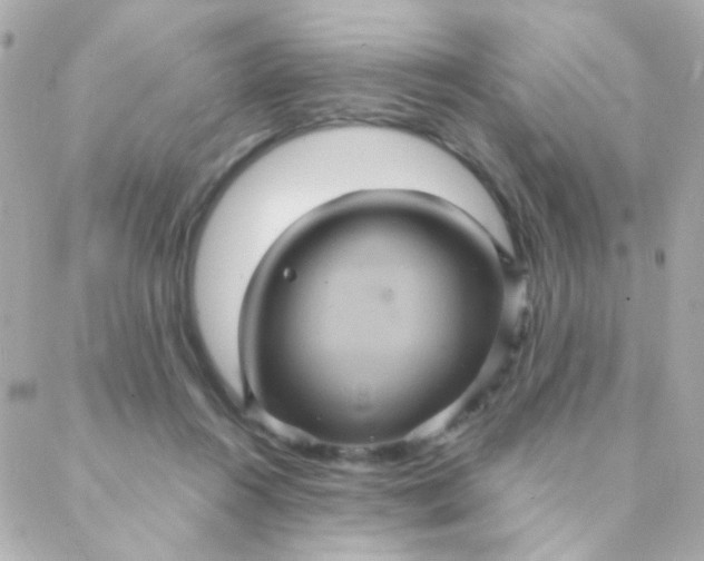 X0000088140360200705291403