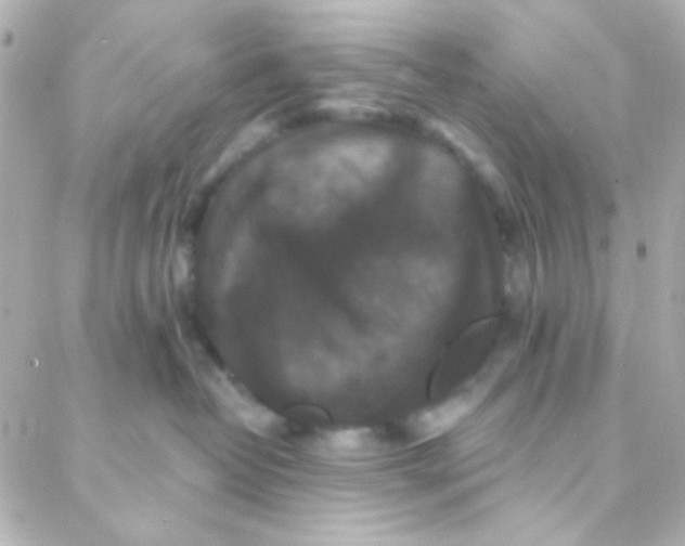 X0000088140382200705291404