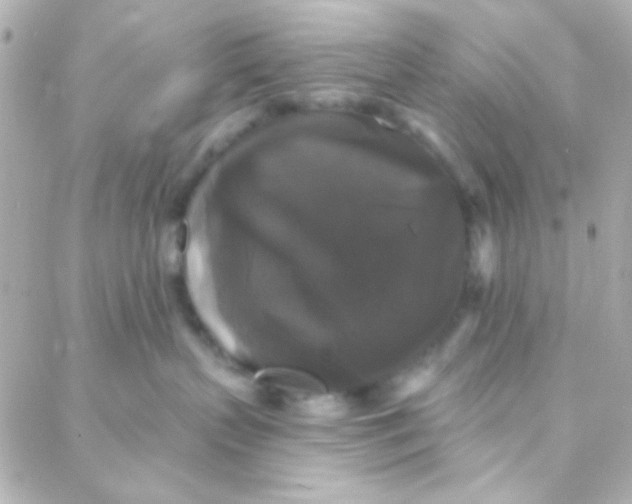 X0000088140383200705291404