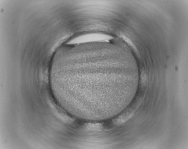 X0000088140403200705291403
