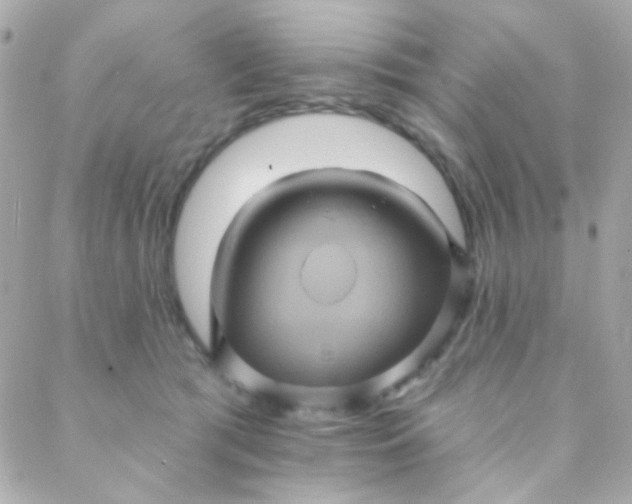 X0000088140417200705291402