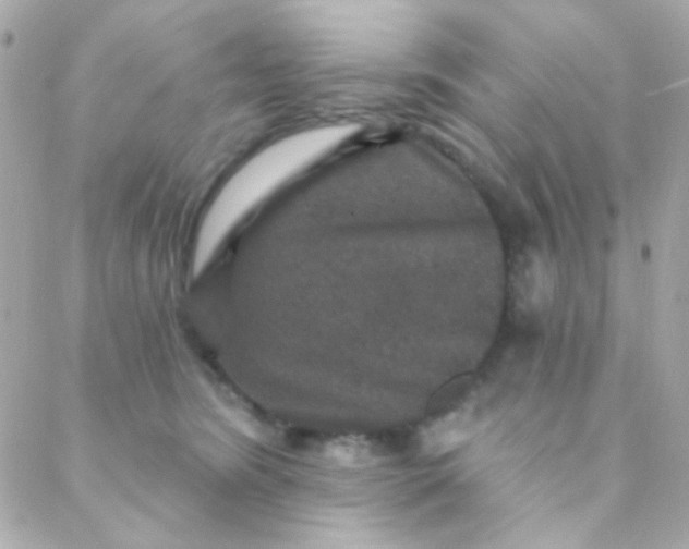X0000088140420200705291402