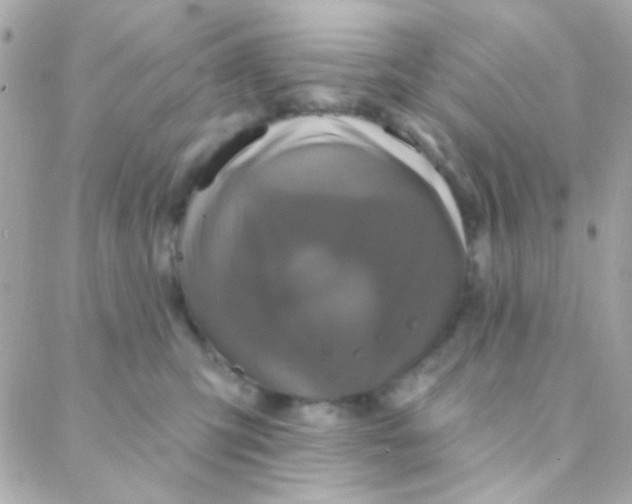 X0000088140423200705291402