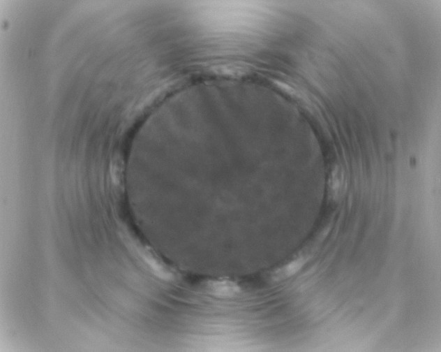 X0000088140424200705291402