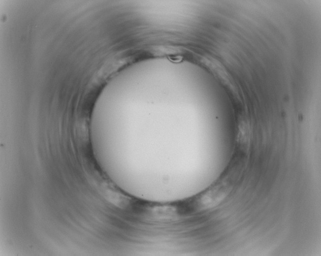 X0000088140426200705291402