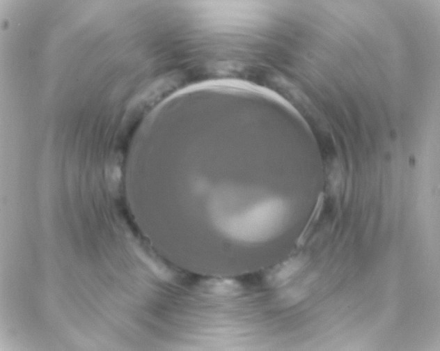 X0000088140427200705291402