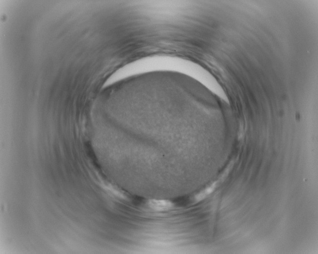 X0000088140429200705291402