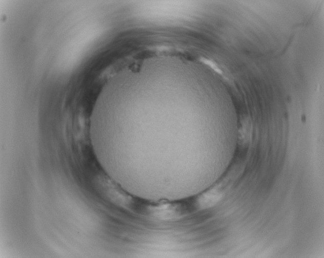 X0000088140430200705291402