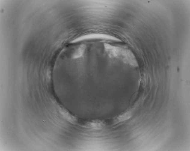 X0000088140466200705291402