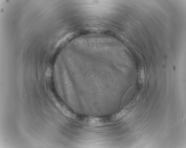 X0000088140472200705291402