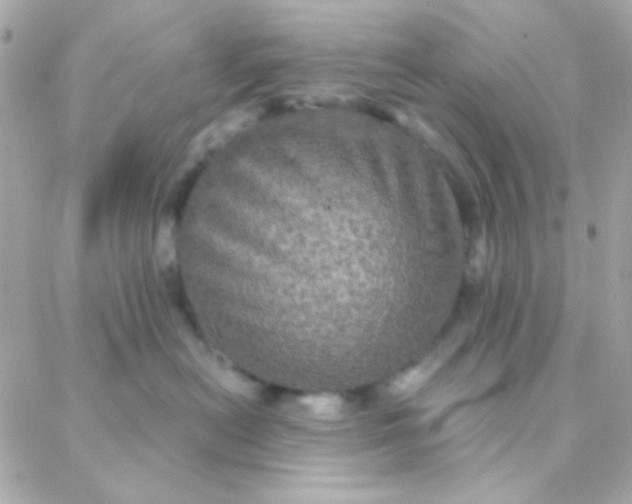 X0000088140478200705291402