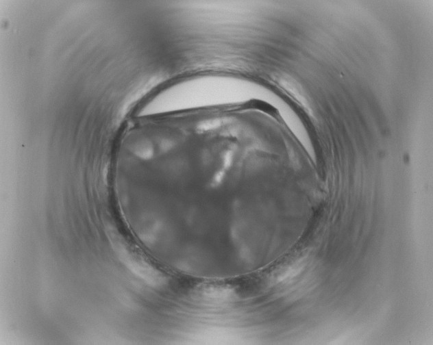 X0000088140491200705291401
