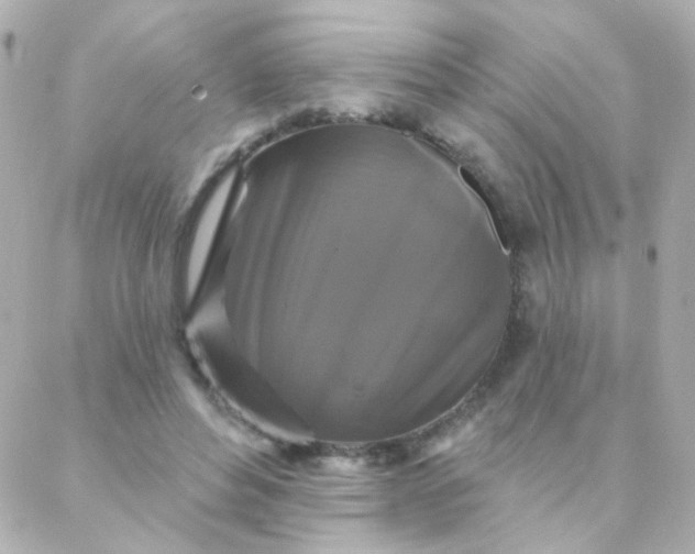 X0000088140496200705291401