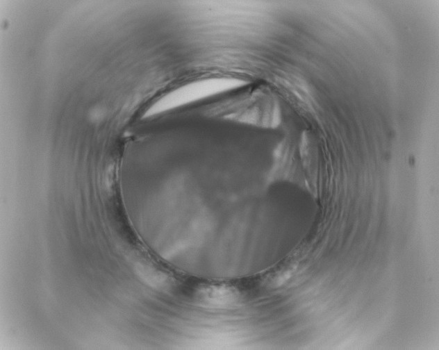 X0000088140503200705291401