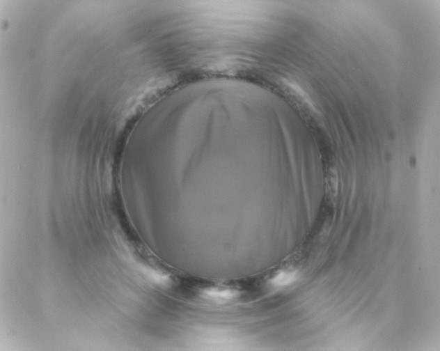 X0000088140504200705291401