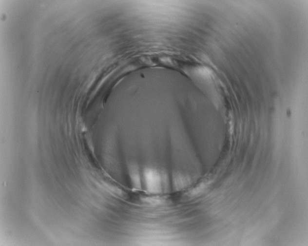 X0000088140516200705291401