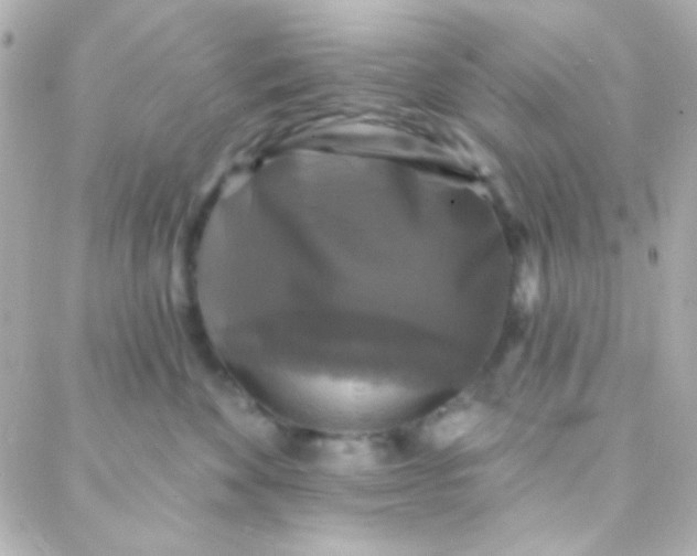 X0000088140524200705291401