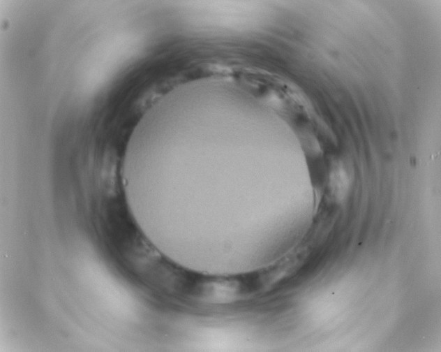 X0000088140525200705291401
