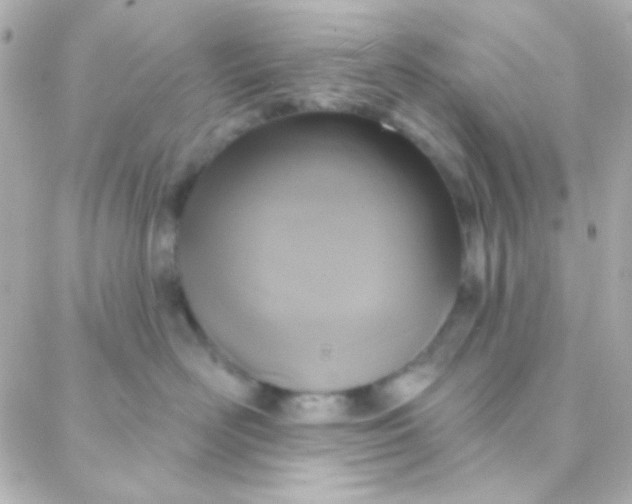 X0000088140526200705291401