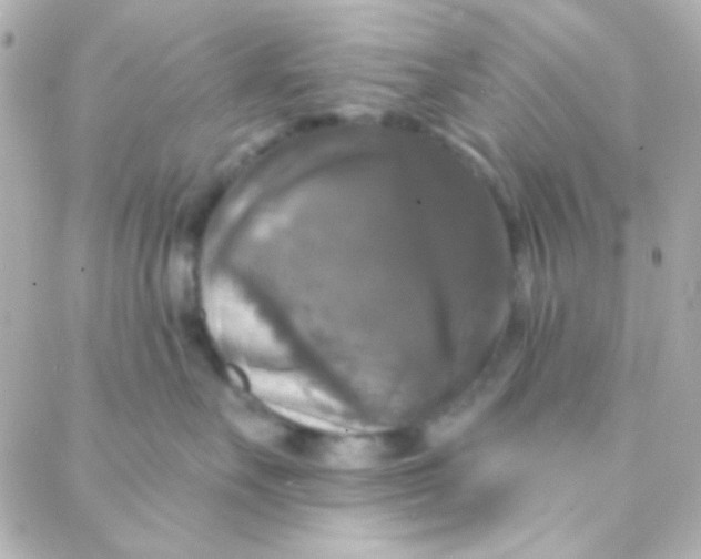 X0000088140527200705291401