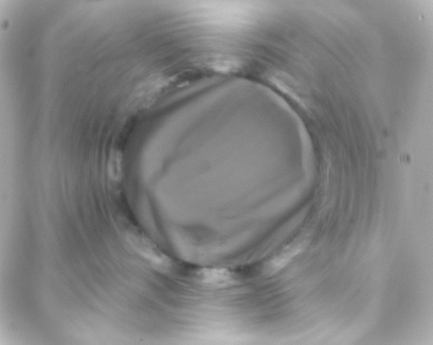 X0000088140528200705291401