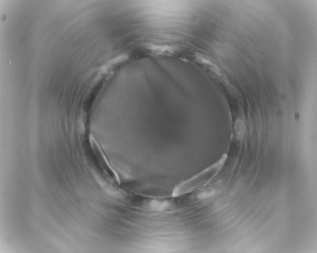 X0000088140570200705291401