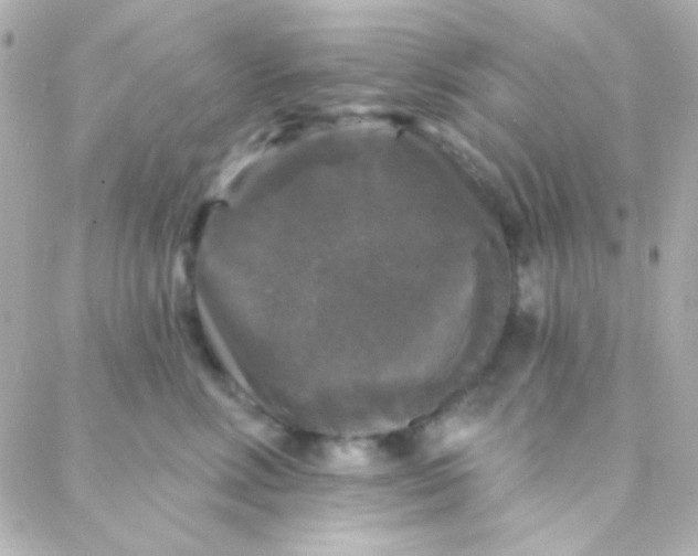 X0000088140618200705291359