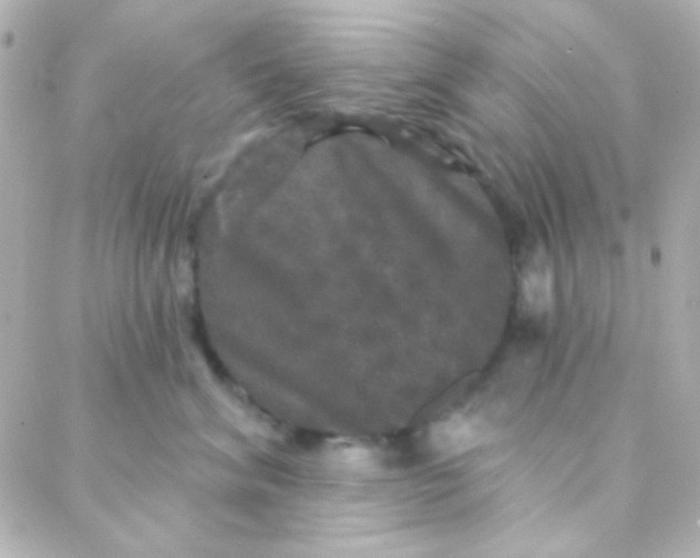 X0000088140620200705291359