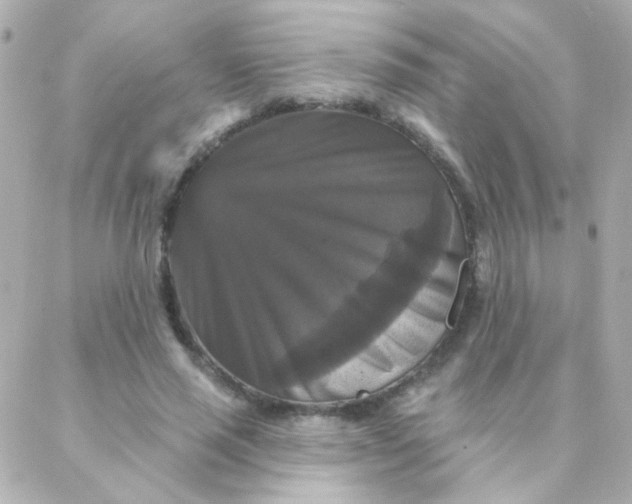 X0000088140637200705291359