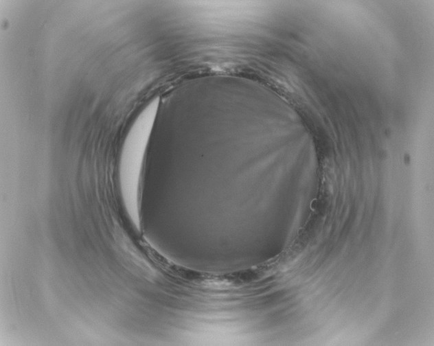 X0000088140650200705291359