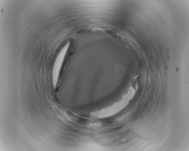 X0000088140653200705291359