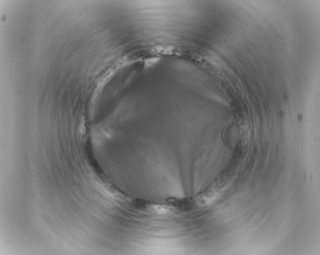 X0000088140654200705291359
