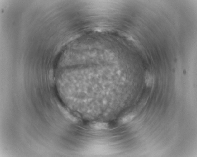 X0000088140670200705291359