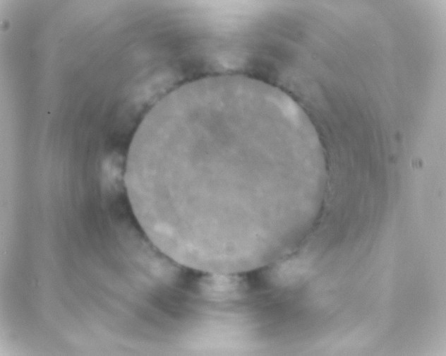 X0000088140672200705291359