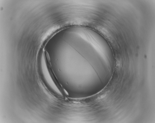 X0000088140678200705291358