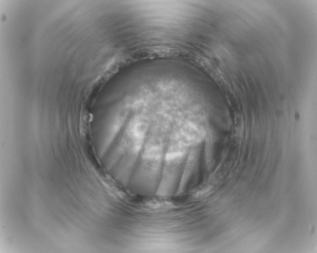 X0000088140712200705291358
