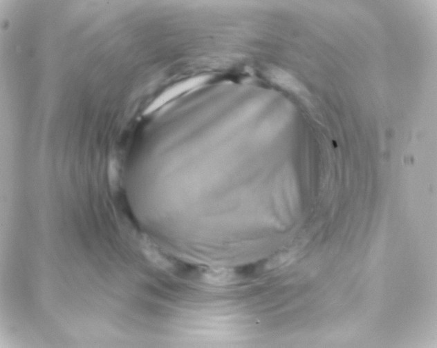 X0000088140720200705291358