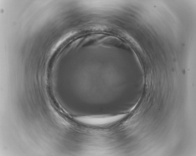 X0000088140722200705291357