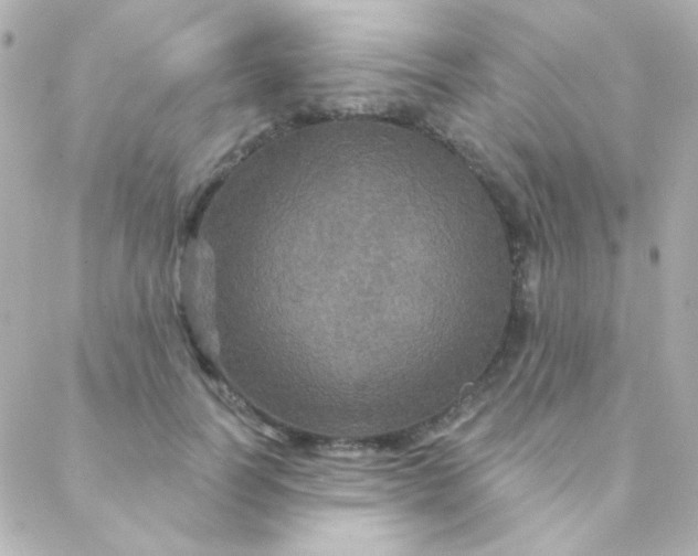 X0000088140746200705291357