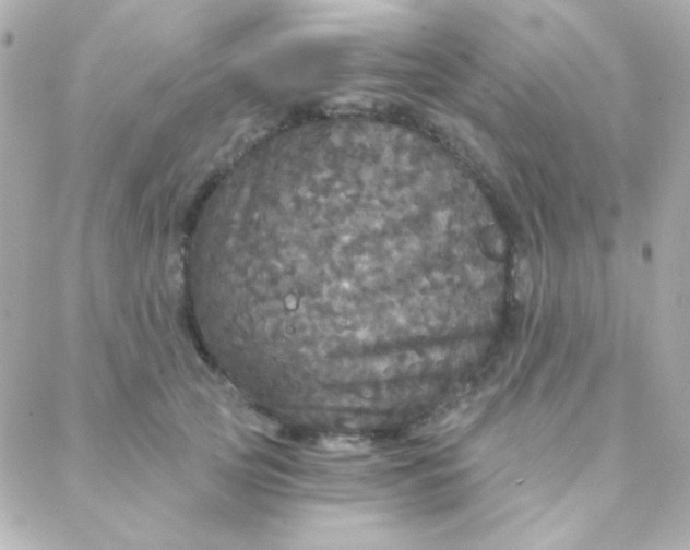 X0000088140753200705291357