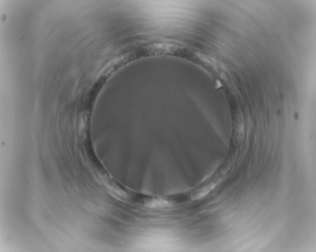 X0000088140759200705291357