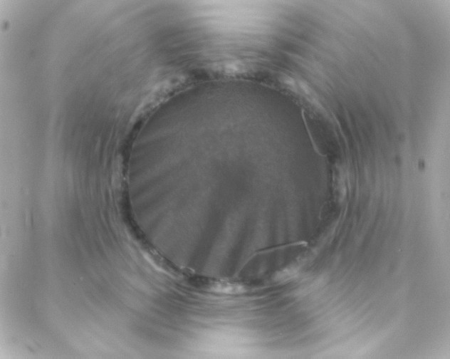 X0000088140760200705291357
