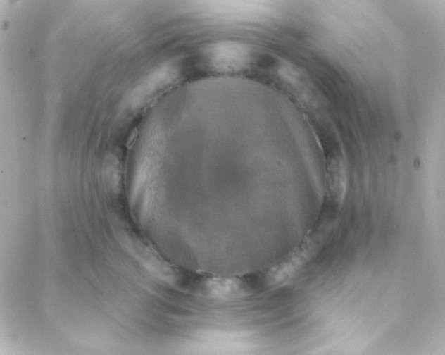 X0000088140762200705291357
