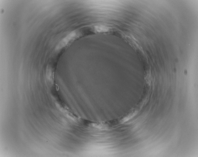 X0000088140763200705291357