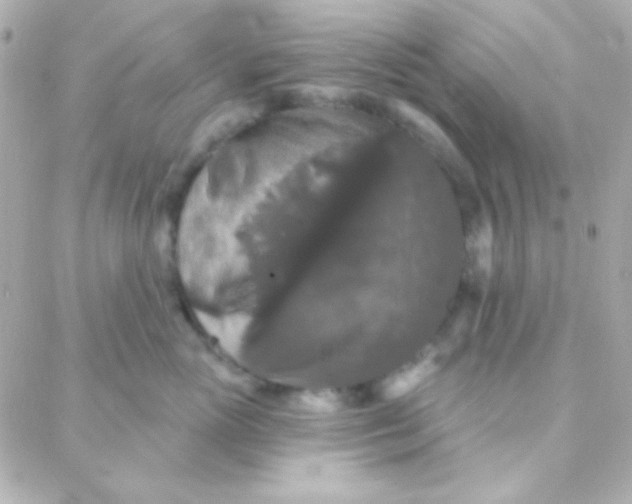 X0000088140765200705291358