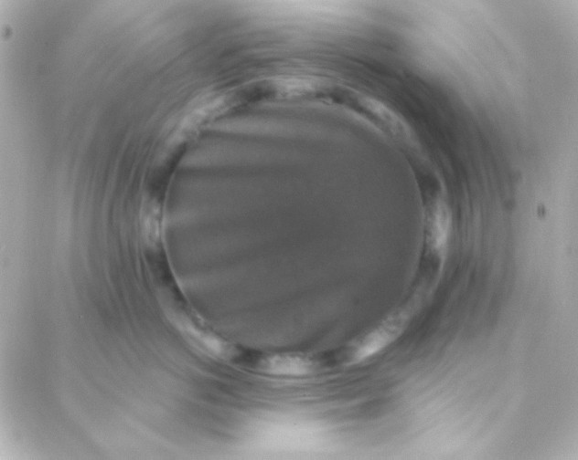 X0000088140766200705291358